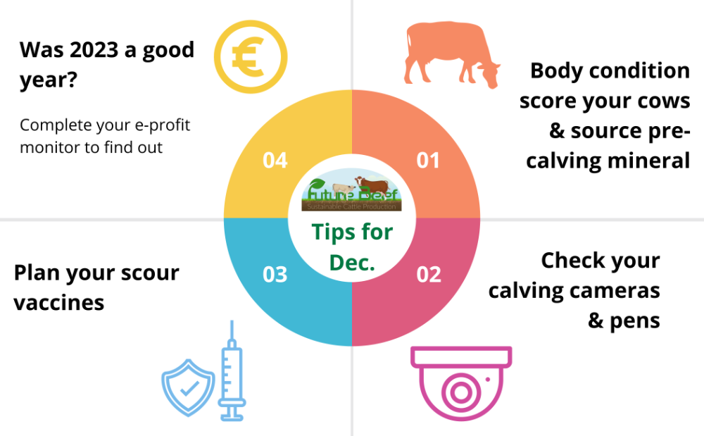Top Tips for December