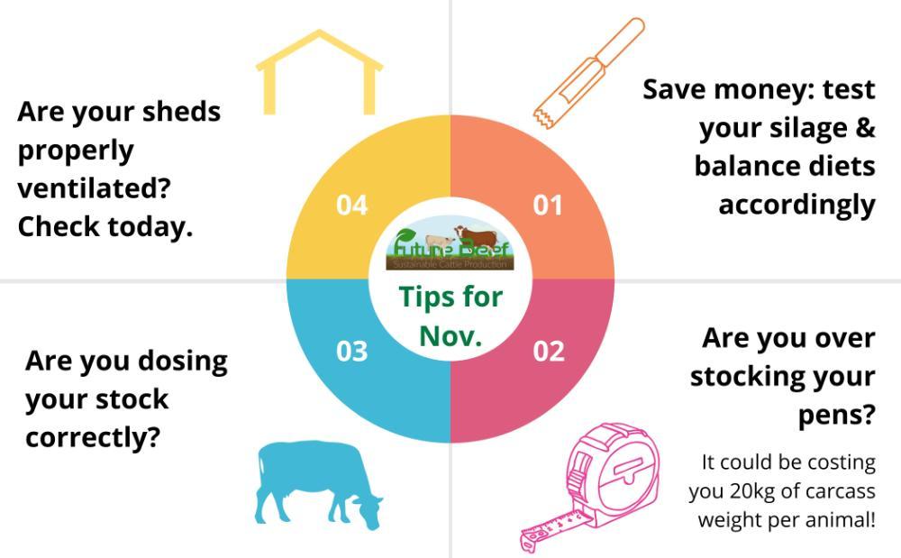 Top Tips for November