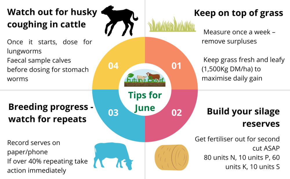 Top Tips for June