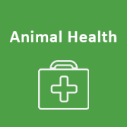 Improving shed ventilation