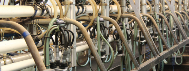 Energy and Milking Efficiency