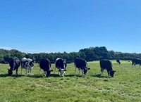 Investing in the correct herd genetics