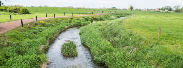 Improving Water Quality