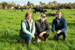 Declan, Eileen & Kieran Murphy, Newpark, Effin, Co. Limerick
(Local Advisor: John Bergin)