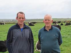 John & Michael Casey, Castleshannon, Causeway, Co. Kerry
Local Teagasc advisor: Niall Kerins