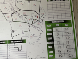 Tom plans out the paddocks to be grazed in the week