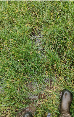Ground conditions in Sean Barrys
