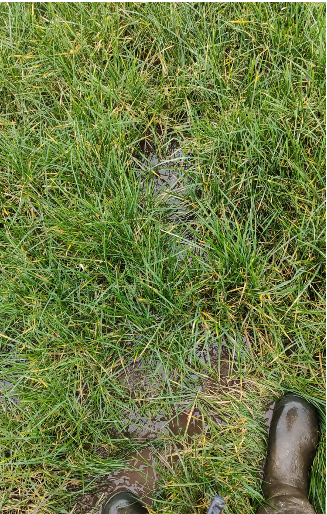 Ground conditions in Sean Barrys