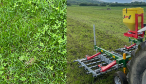 paddock with clover, and grass harrow/seeder machine