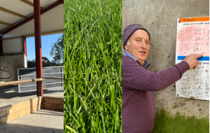 Tim Leader Farm Update, shed, reseed and whiteboard. Details in text.
