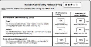mastitis control