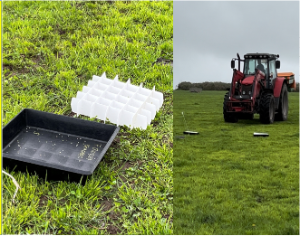 Kerry Agri Update Grass Photo 25th April 2025