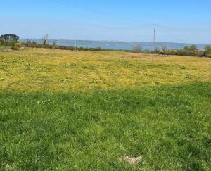 Kerry Agri Update Photo 18th April 2025