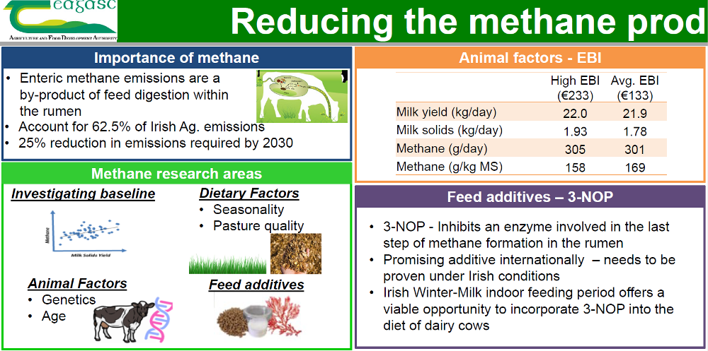 Reducing the methane production of winter milk cows All information intext below