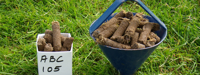 Soil Fertility