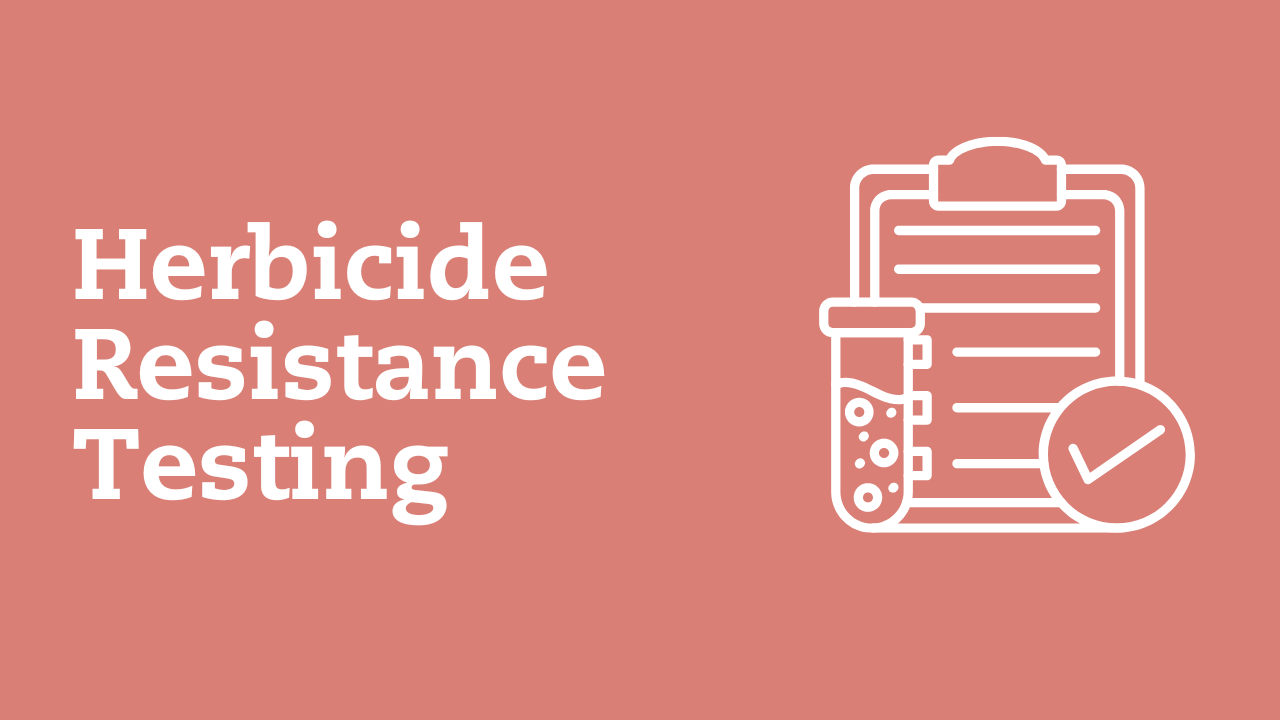 Herbicide Resistance Testing