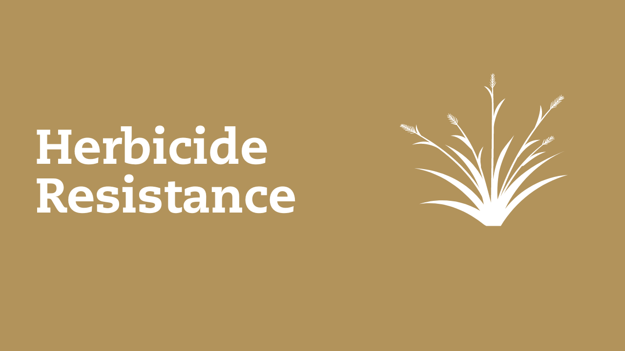 Herbicide Resistance