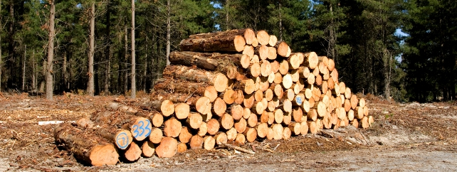 Forestry