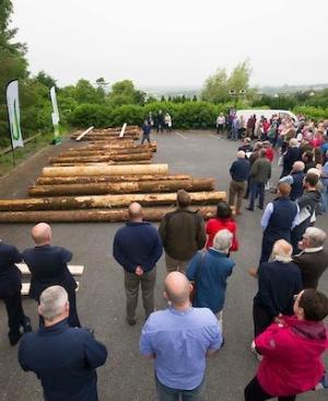 talking timber outdoor display