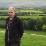Tomás O’Leary - Sheep