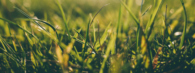 Grassland Farmer of The Year