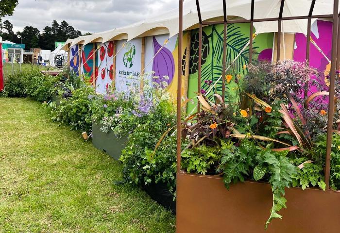 Teagasc tent at bloom 2025 with plants