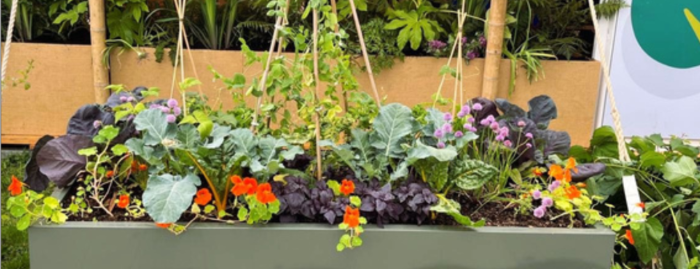 Highlighting the importance of Irish Produce & Crop Production, edible displays have been created by combining varieties of Allium, Cabbage, Fennel and Globe Artechoke, interplanted with various herbs & aromatics such as Basil & Rosemary. Height is added via Tomatoes & Squash, accented with pops of colour from flowering Chives & Marigolds (and some cheeky ferns...)