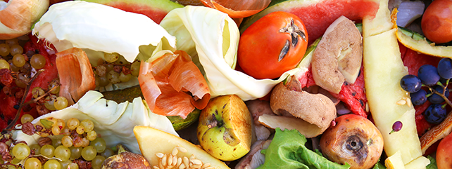 The Food Waste Challenge