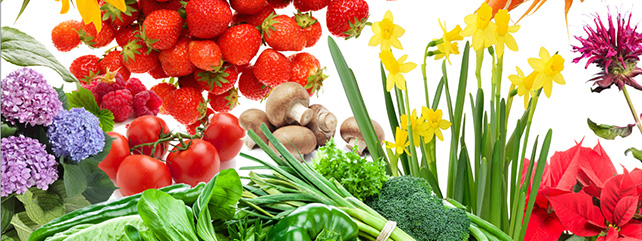 Sustainable Crop Production