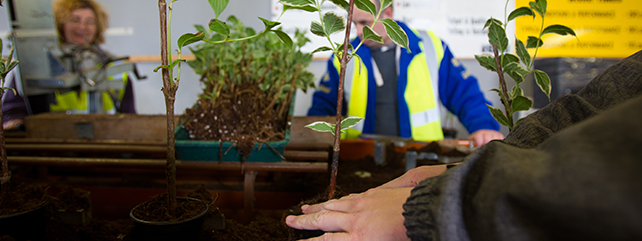 Horticulture Education