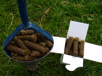 Soil Analysis Step 1