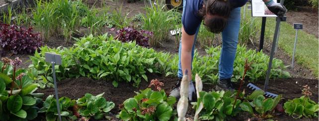 Horticulturist Apprenticeship