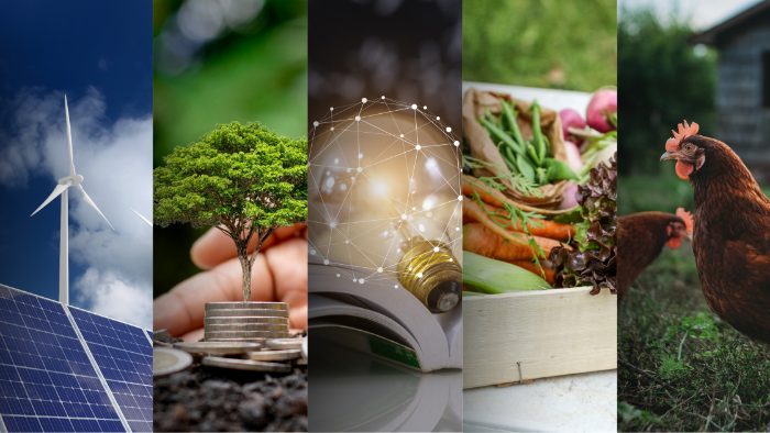 Lifelong Learning Banner