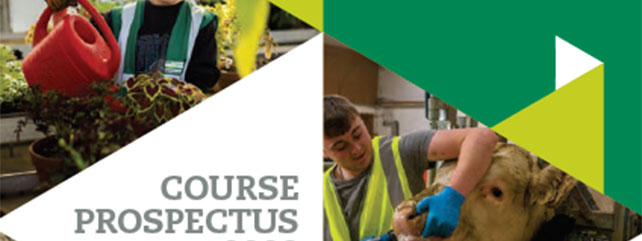 Course Prospectus