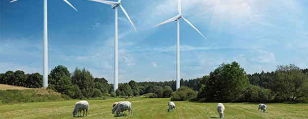 Renewable Energy Courses