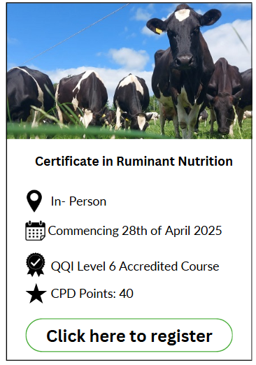 Course information