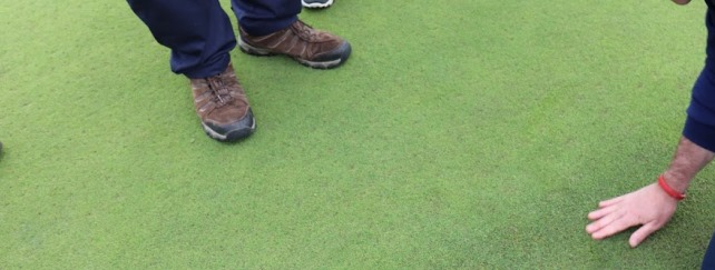 Sportsturf Management 