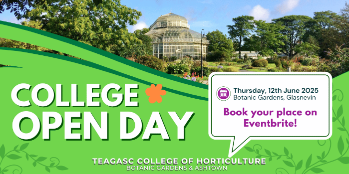 Graphic design advertising 2025 Open Day, 12th June