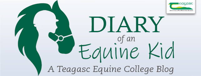 Diary of an Equine Kid