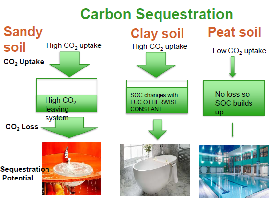 Carbon Sequestration