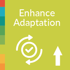 Enhance Adaptation