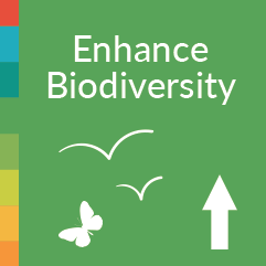 Enhance Biodiversity