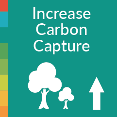Increase Carbon Capture