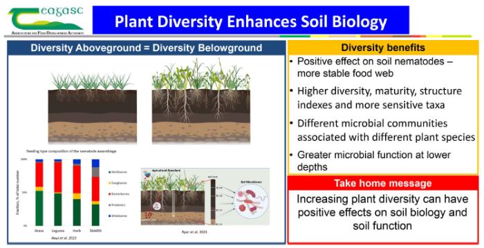 Soil-plant interaction & function