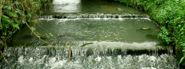 Water Quality