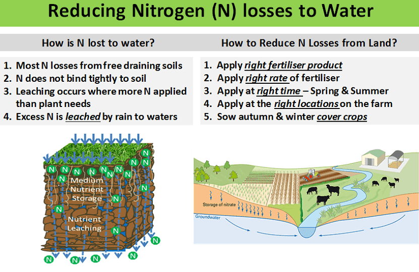 N losses to water