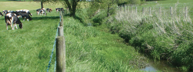 Farmland Habitats