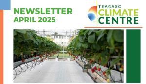 Thumbnail image of the Climate Centre newsletter April 2025 featuring strawberry plants growing in a greenhouse