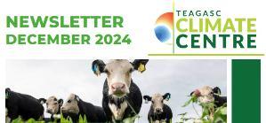 Thumbnail image of the Climate Centre newsletter December 2024 featuring an image of three cows in a grass field