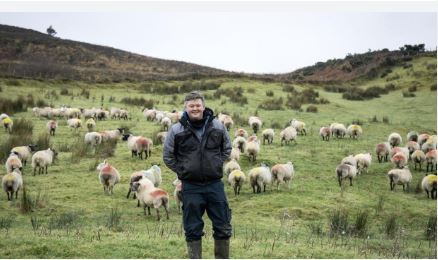 Des Powell – lambing went reasonably well this year